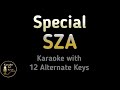 SZA Special Karaoke Instrumental Lower Higher Male Original Key