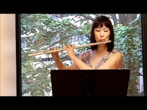 Flute Toot-orial: Etude in d minor (Andersen, Carl Joachim 1847-1909)  (LMEA Set IV 4, ASBOA Set II)
