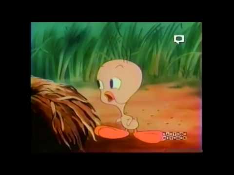 Cartoon Network - January 2004 Promos & Bumps