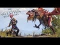 The Witcher 3 Dragon the Forktail Boss Fight Hard Mode