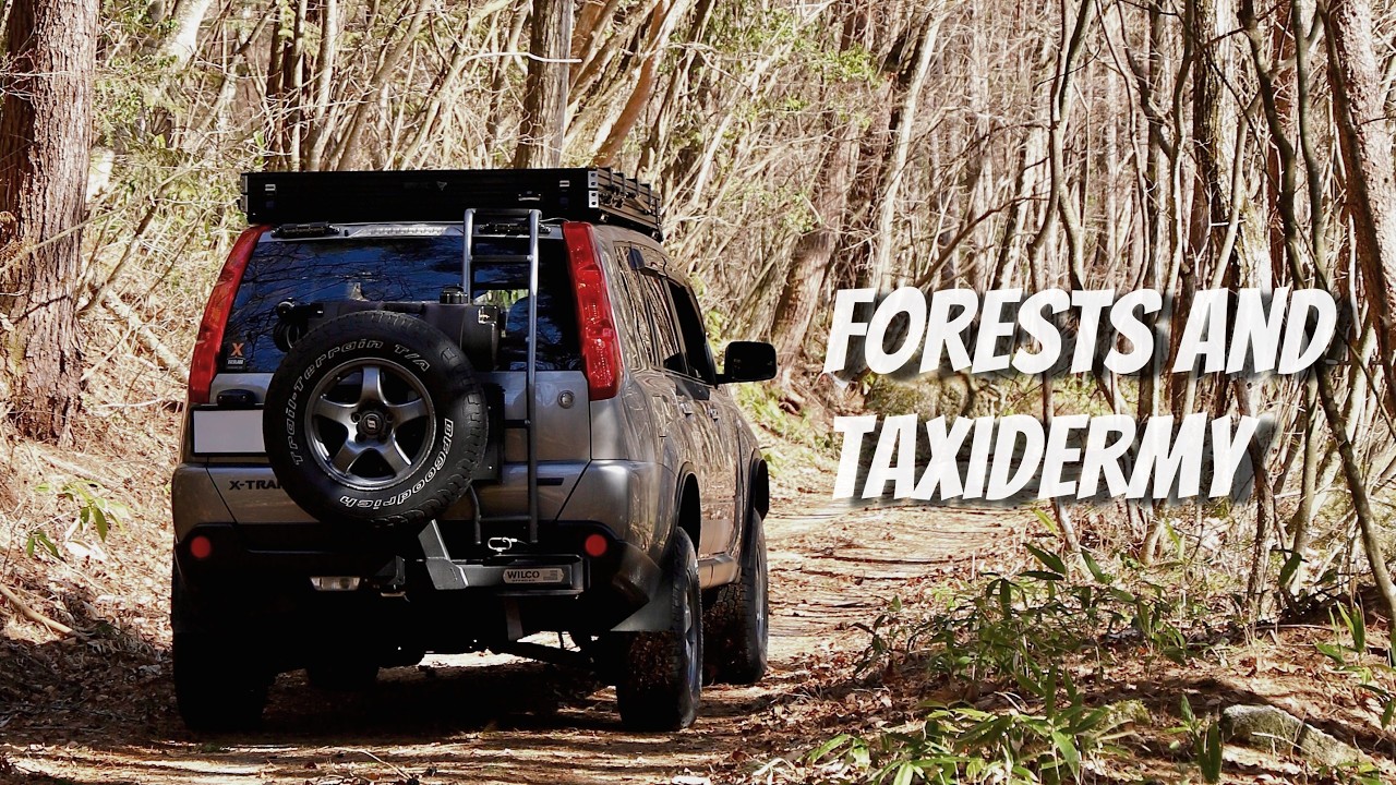 I had lunch in the forest area and then went to the museum./森林地帯で昼食をとり博物館へ