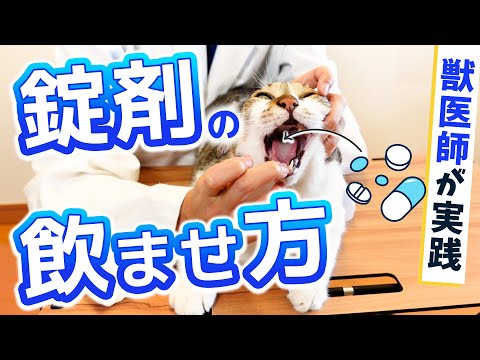 猫にジピロンを与える方法 - 投与量と禁忌