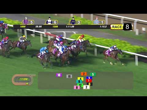 Singapore Three-Year-Old Classic 2019 (Top Knight)