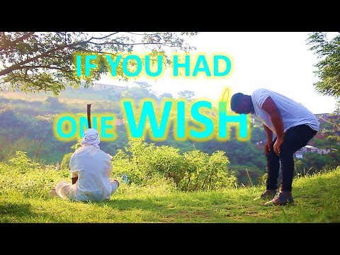 Trying To Prevent Apartheid