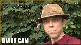 Diary Cam - Would you still watch Youtube if you had to pay?