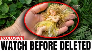 12 Times Real Fairies Got Caught On Camera And Seen In Real Life