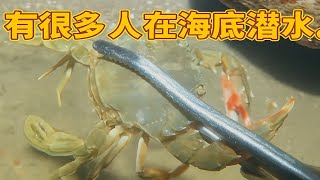 有很多人在海底潜水。