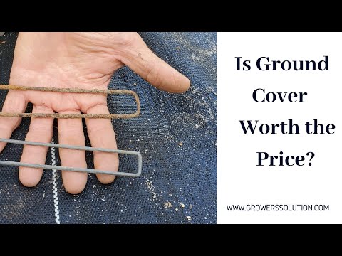 もう二度と草取りはしないでください??グランドカバー生地について学んだ教訓