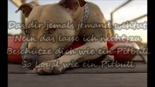 FARD - Pitbull Lyrics [#BFHFA] [#07.10.16]