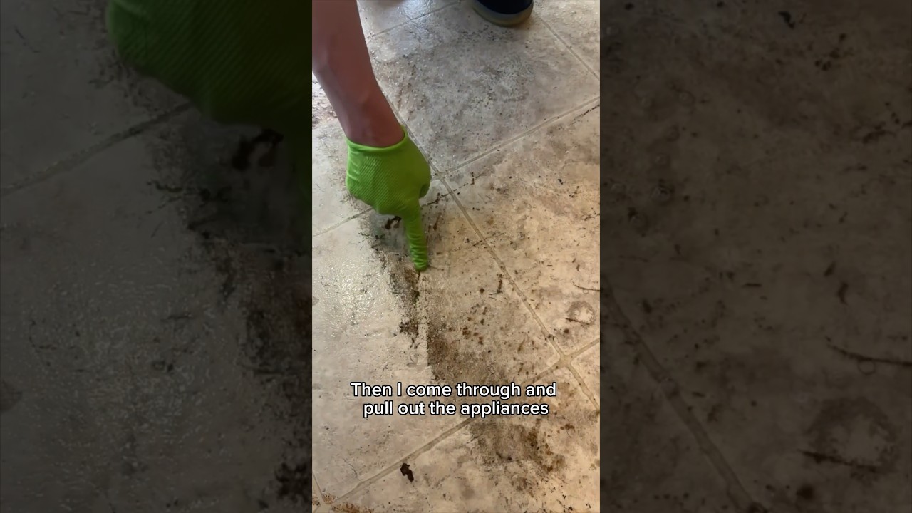 I deep cleaned this super dirty floor #satisfying #cleaning