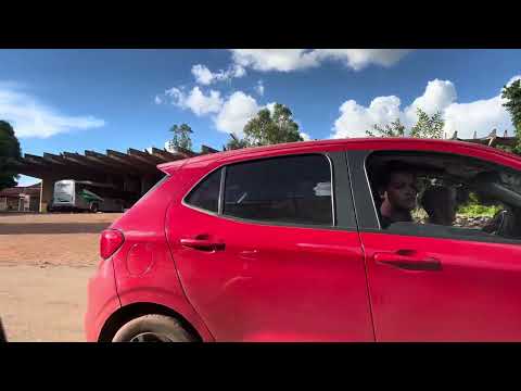 Parte 2 um pouco mais de palmeiras de Goiás 