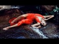 Schiller - Moonflower - 
