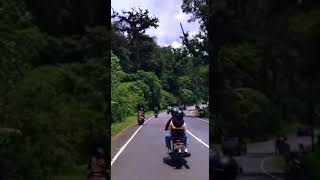 Download lagu Story WA cb mp3