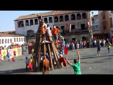 2015  miércoles 19 de agosto -Toros y vaquillas