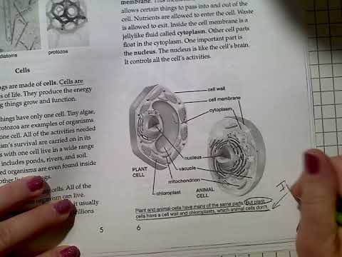 W5 D1 Inside Living Things