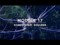 Douleur : Nocicepteurs, Voies Nerveuses et Mécanismes de Modulation