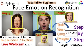 Realtime Face Emotion Recognition | PyTorch | Python| Deep Emotion | Stepwise Implementation