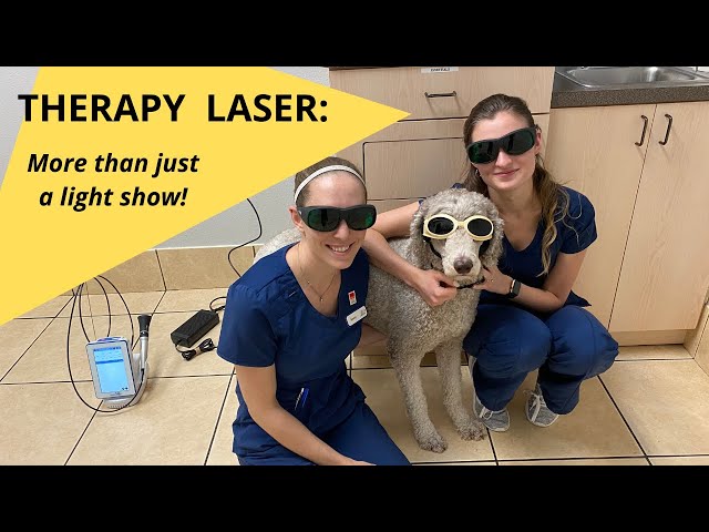 Therapy Laser: More Than Just A Light Show.