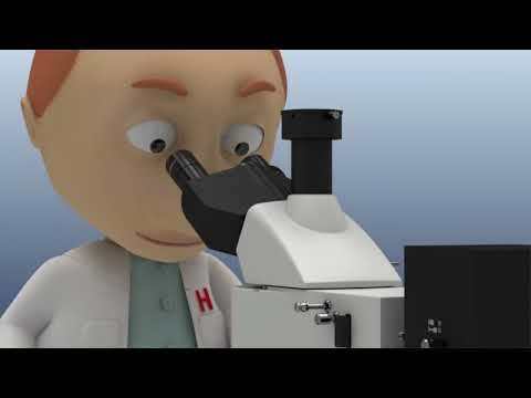 Микроскоп биологический флуоресцентный HumaScope Fluo