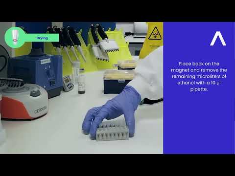 Mastering NGS library cleanup with magnetic beads: a 10-minute guide