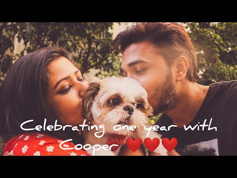 #Celebrating one #year with our #Cooper ( #shihtzu #puppy ) ❤️❤️❤️