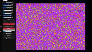 Watch the video