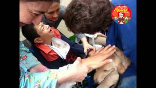 preview picture of video 'Fundacion MOMENTOS DE ALEGRIA - La Chavela Chia - COLOMBIA THERAPY DOGS'