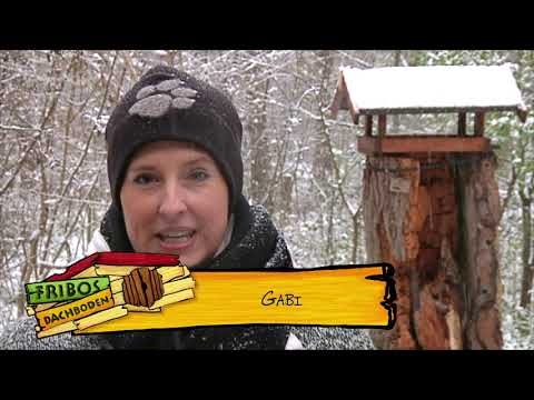 Vögel füttern im Winter | Entdeckerkiste | Fribos Dachboden