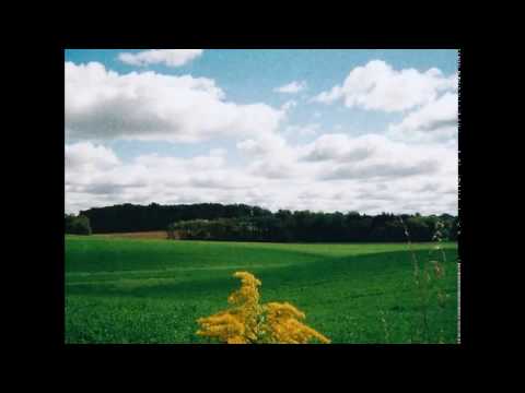 Video thumbnail for Pretty Little Flowers (feat. Kath Bloom)