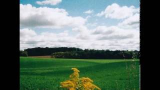 Mark Kozelek — Pretty Little Flowers (feat. Kath Bloom)