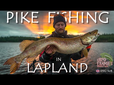SUURHAUEN KALASTUSTA LAPISSA - Urpoerämies