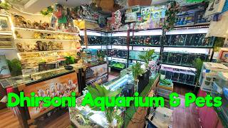 Aquarium Fish Stock at Dhirsoni Aquarium Store