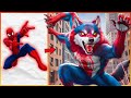 Super Wolves Pack Marvel DC Heroes Transformed Into Mighty Wolves 2024