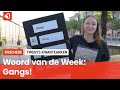 Het Twentse woord van de week: Gangs!