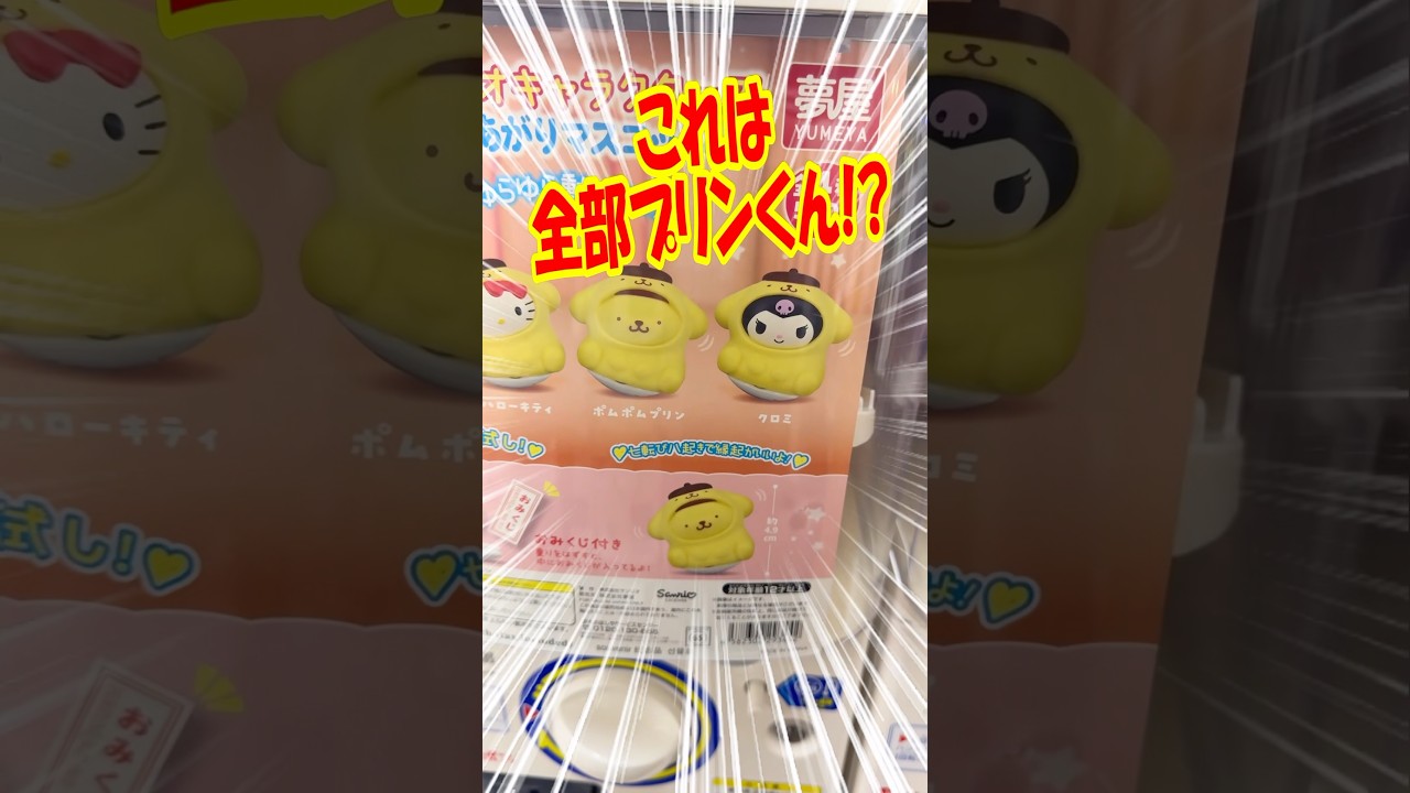 全キャラ＊があるって事!? サンリオキャラクターズおきあがりマスコット4ガチャを回す!! #shorts #short #sanrio #サンリオ