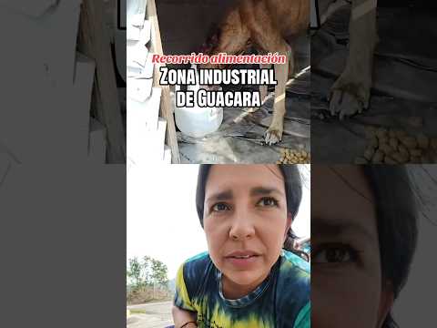 Un recorrido de alimentación, zona industrial de Guacara Carabobo Venezuela