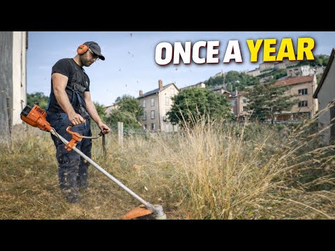 Taille fruitiers entretien jardin Billom