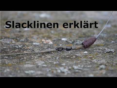 Kleiner Unterschied, große Wirkung: Slacklinen auf Karpfen