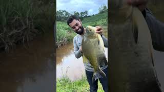 Olha o tamanho do peixe que pegamos !!