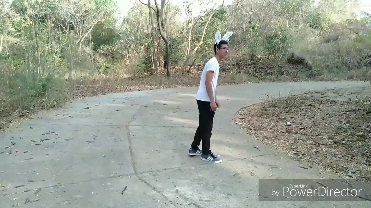 Si Kuneho at Si Pagong