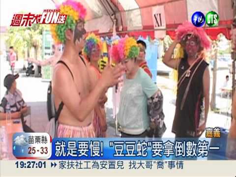 誓言倒數第一! "豆豆蛇"划龍舟