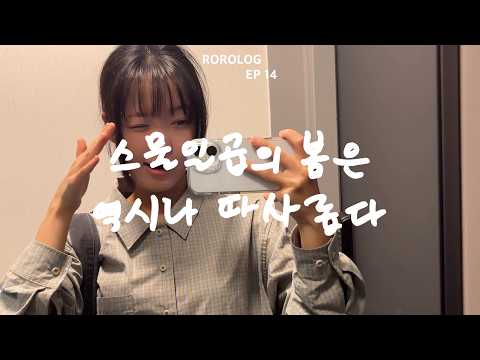 스물일곱의 봄은 역시나 따사롭다