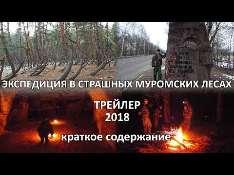 Экспедиция в Муром. Трейлер. В страшных муромских лесах. Зима 2018.