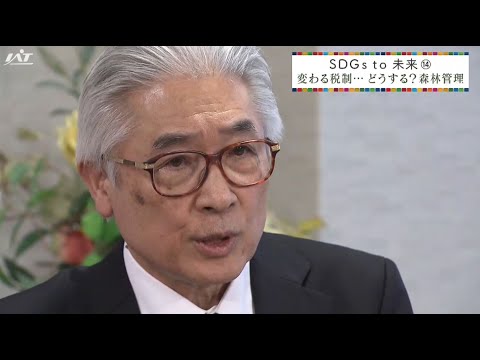 YouTube動画