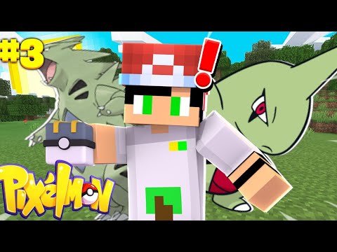 ‹ CAPTUREI UM TYRANITAR!!!! › - POKÉVICIO ‹ MINECRAFT POKÉMON › #3