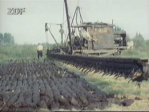 Tierportrair - Der Birkhahn -  ZDF - Tierdoku - PAL