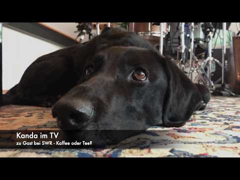 Kanda - SWR „Kaffee oder Tee“ (Teaser)