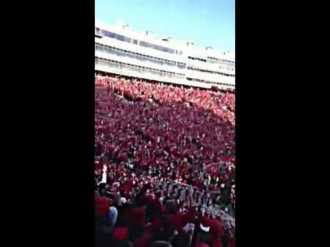 Stay Calm and......JUMP AROUND!