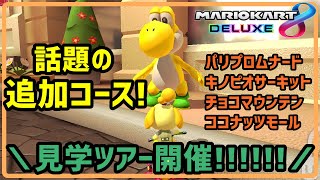 追加パックどんな感じやねん見学ツアー！！！【マリオカート８DX】【実況】