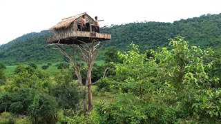 How To Build House On The Tree 12m And Swimming Pool [ Part I ]
